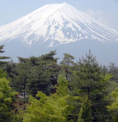 Mount Fuji from Ground Level 022.jpg