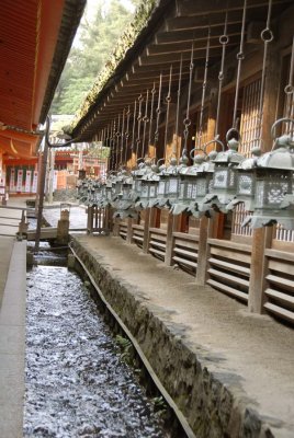 Bronze Lanterns of Kasuga shrine 105.jpg