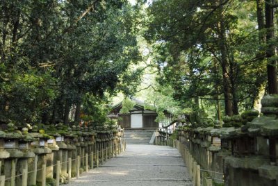 Kasuga shrine 106.jpg