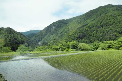 Shogawa Valley 064.jpg