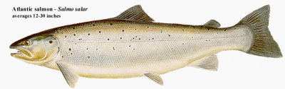 g5/35/140935/3/104274531.OqAK5FtT.jpg