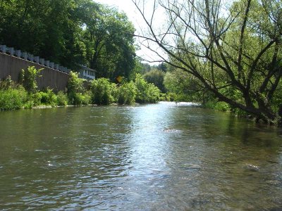 Spring Creek 1470.jpg