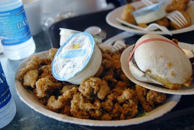 Fried Clams and Stuffie 4699.jpg