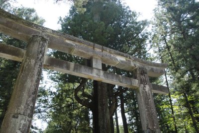 Torii (Shinto Shrine Gate) 035.jpg