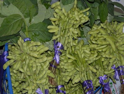 Edamame - Baby Soy Beans 128.jpg