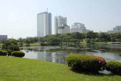 Shiori-no-Ike Pond -Salt Water Tidal Pond at Hama-Rikyu 173.jpg