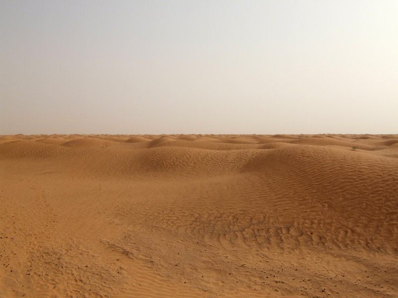 Sahara View from the Camel.jpg