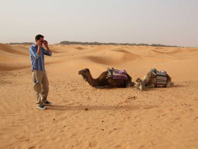 Sahara in the Dunes1.jpg