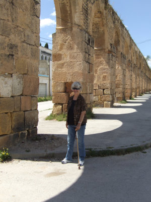 Tunis Aquaduct3.jpg
