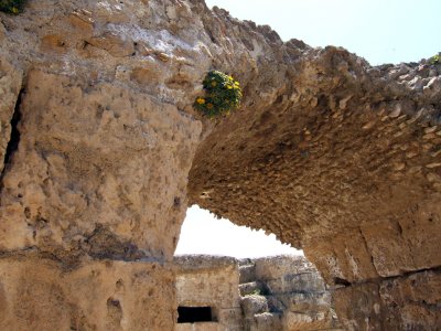 Carthage The Baths62.jpg