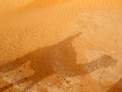 Sahara Camel Ride5.jpg