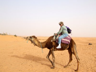 Sahara Grandmas Camel Ride4.jpg