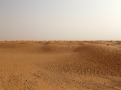 Sahara View from the Camel.jpg