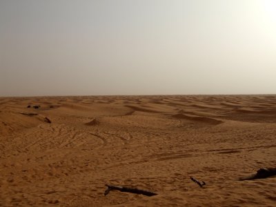 Sahara View from the Oasis.jpg