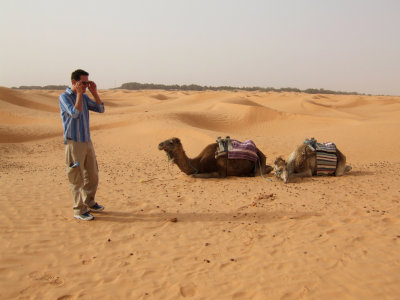 Sahara in the Dunes1.jpg