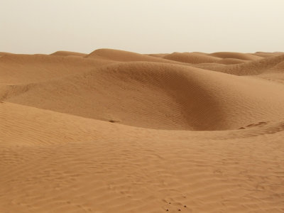Sahara Dunes.jpg