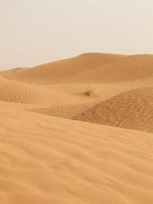 Sahara Dunes1.jpg