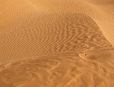 Sahara Dunes2.jpg