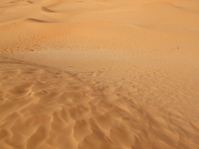 Sahara Dunes3.jpg