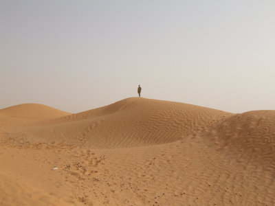 Sahara in the Dunes4.jpg