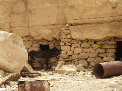 Chenini - Another Donkey.jpg