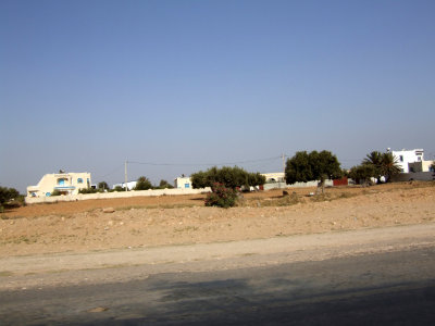 Typical Roadside View on Djerba1.jpg