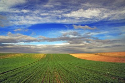 Vojvodina