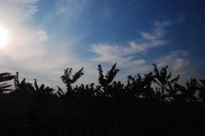 DSC_5727.JPG