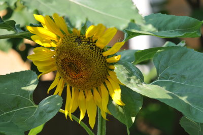 DSC_5603.JPG