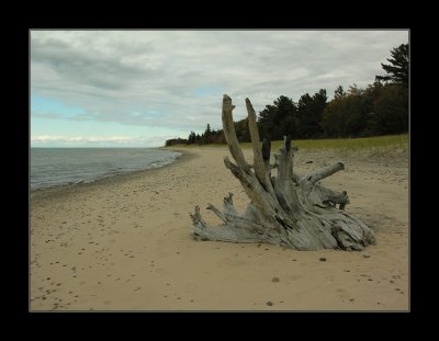 Crisp Point beach