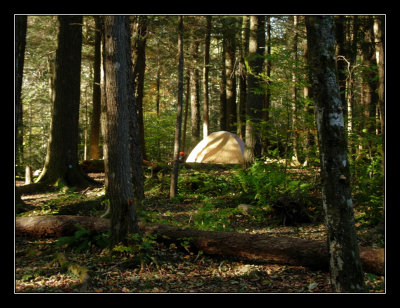 Miry Ridge Trail      - campsite #26