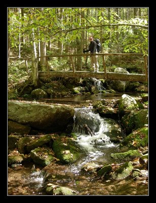 Jakes Creek Trail bridge