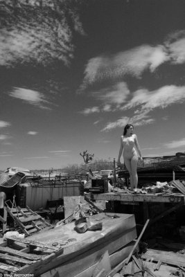 IMG_8795 (In A World Of Chaos)
