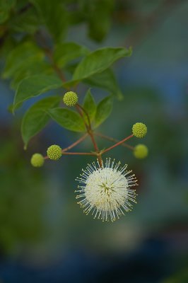 DSC_5120.jpg