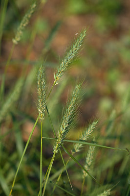 DSC_5190.jpg