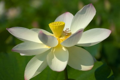 DSC_5305.jpg
