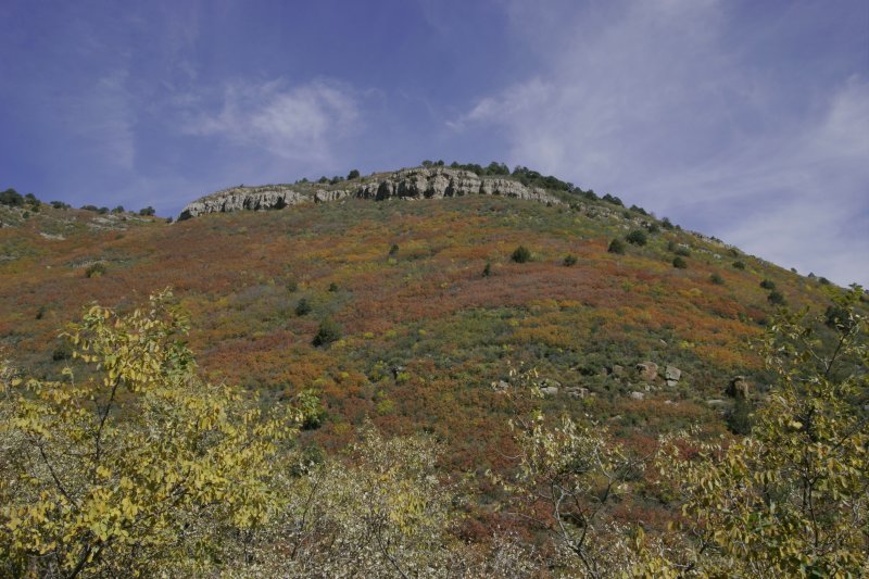 Sandia Peak Hillside