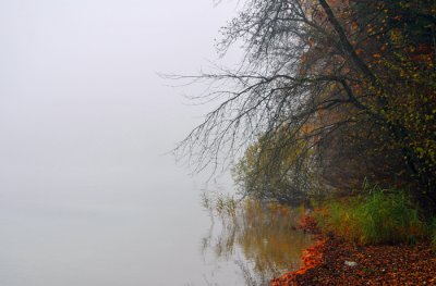 am Ufer Fuschlsee.jpg