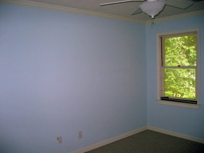den before.jpg