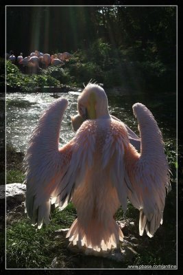 IMG_9987.JPG