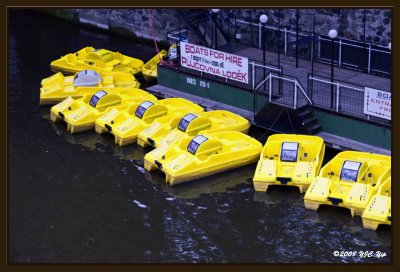 97 Yellow Paddle Boats.jpg
