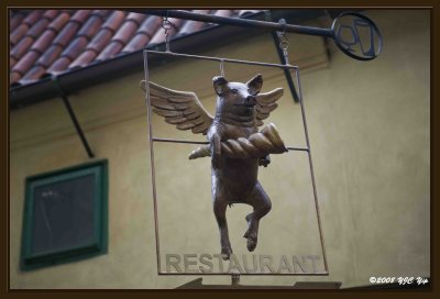 28 Flying Pig @ Golden Lane.jpg