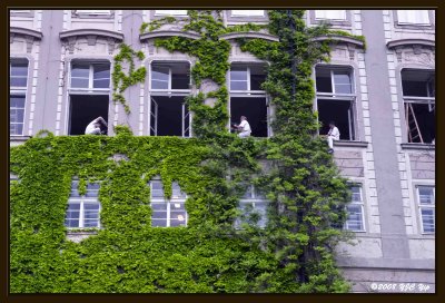40 South Gardens.jpg