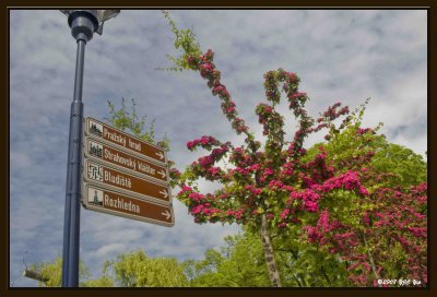 002 Petrn Hill Gardens.jpg