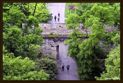 010 Tower Entrance.jpg