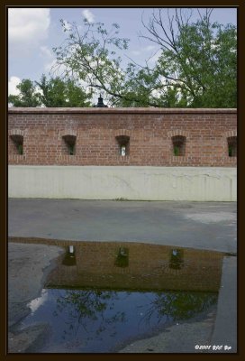 050 Partial Reflection.jpg