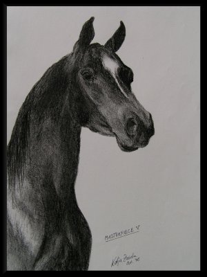 horse_drawings