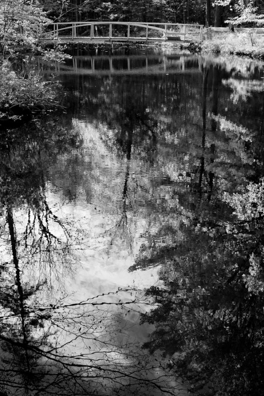 Birdsacre Pond Bridge #7 b&w