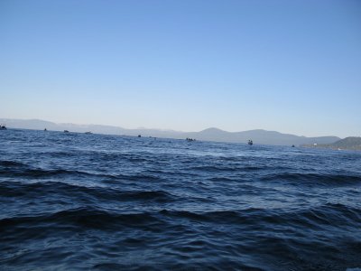 IMG_0313_resize.JPG