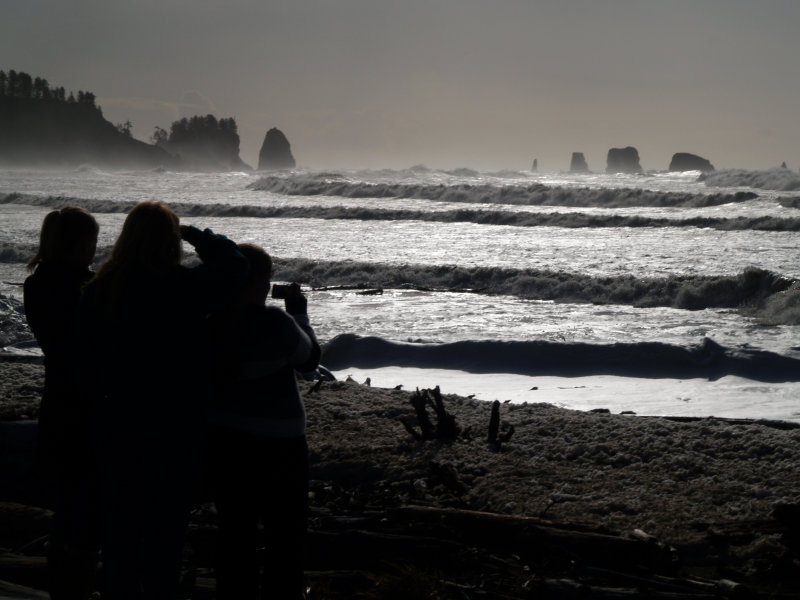 Wave Watchers